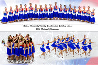 2013-16 Miami Skating Posters