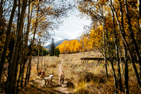 October | Breck and Aspen